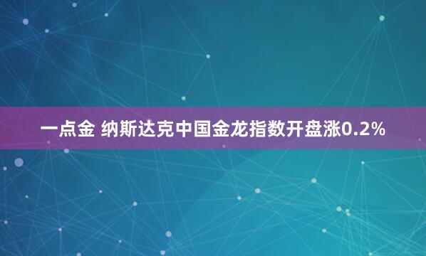 一点金 纳斯达克中国金龙指数开盘涨0.2%
