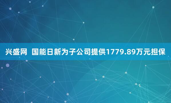 兴盛网  国能日新为子公司提供1779.89万元担保