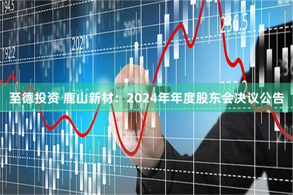 至德投资 鹿山新材：2024年年度股东会决议公告