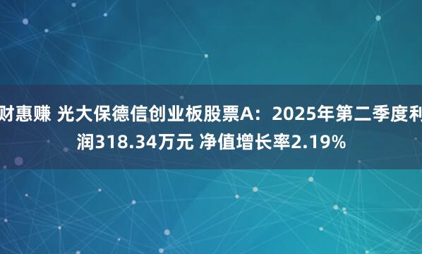 财惠赚 光大保德信创业板股票A：2025年第二季度利润318.34万元 净值增长率2.19%