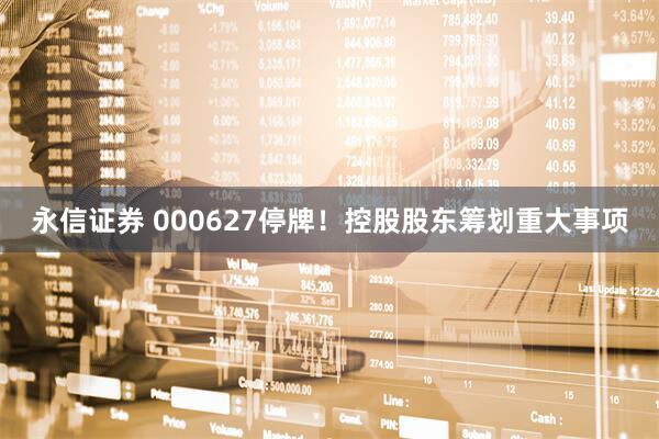 永信证券 000627停牌！控股股东筹划重大事项
