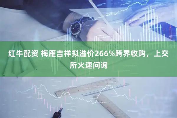 红牛配资 梅雁吉祥拟溢价266%跨界收购，上交所火速问询